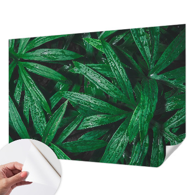 Carta da parati per cameretta vegetazione naturale