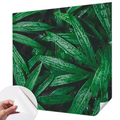 Carta da parati per cameretta vegetazione naturale