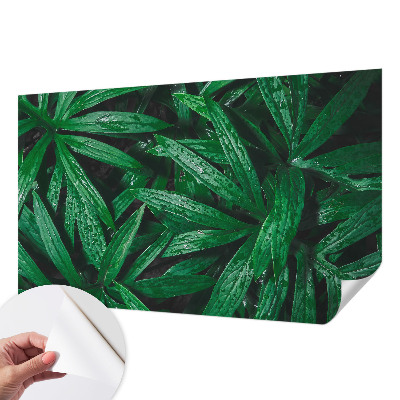 Carta da parati per cameretta vegetazione naturale