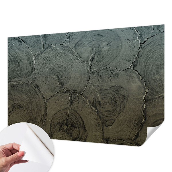 Fotomurale effetto 3D Anelli di legno