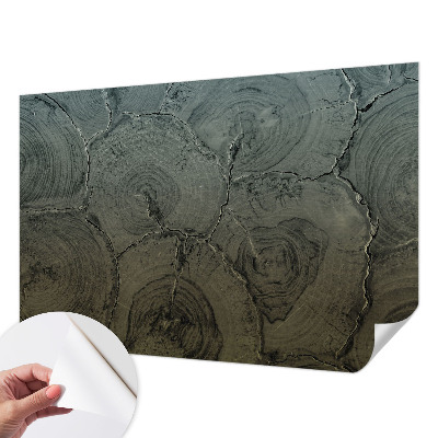 Fotomurale effetto 3D Anelli di legno