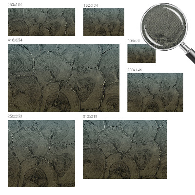 Fotomurale effetto 3D Anelli di legno