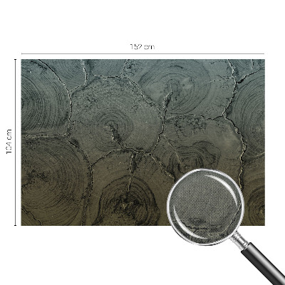 Fotomurale effetto 3D Anelli di legno