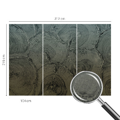 Fotomurale effetto 3D Anelli di legno