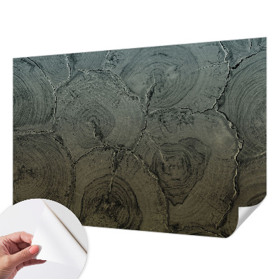Fotomurale effetto 3D Anelli di legno