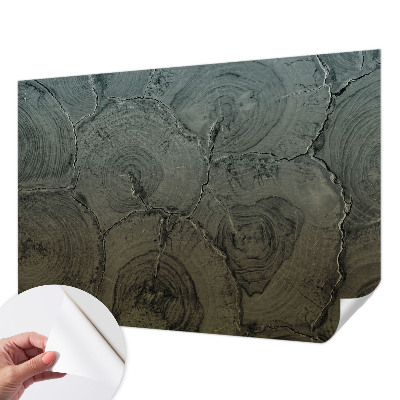 Fotomurale effetto 3D Anelli di legno