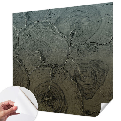 Fotomurale effetto 3D Anelli di legno