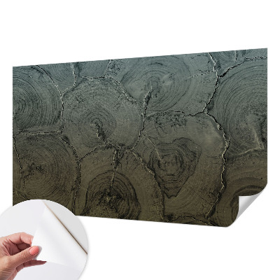 Fotomurale effetto 3D Anelli di legno