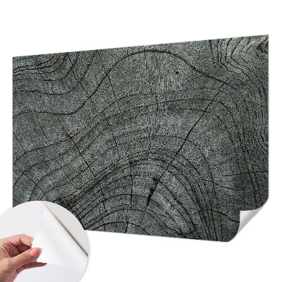 Fotomurale 3D Motivo delle venature