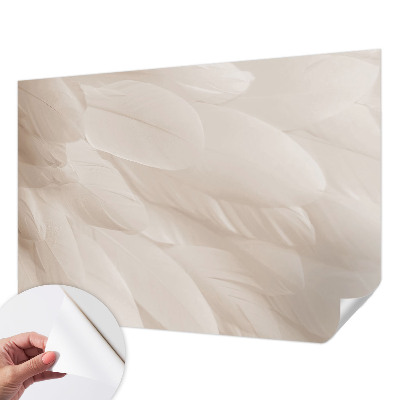 Fotomurale 3D Piume eteree