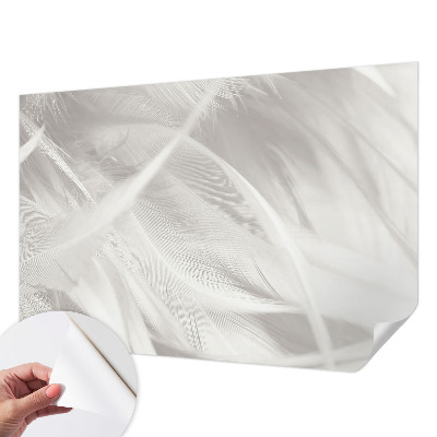 Fotomurale effetto 3D Piume delicate