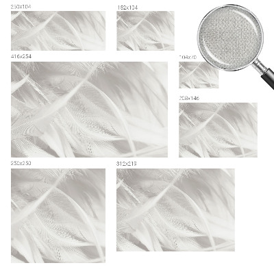 Fotomurale effetto 3D Piume delicate