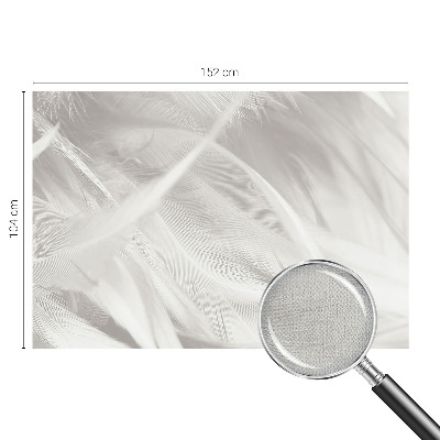 Fotomurale effetto 3D Piume delicate