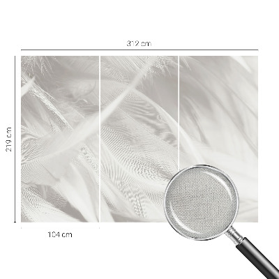 Fotomurale effetto 3D Piume delicate