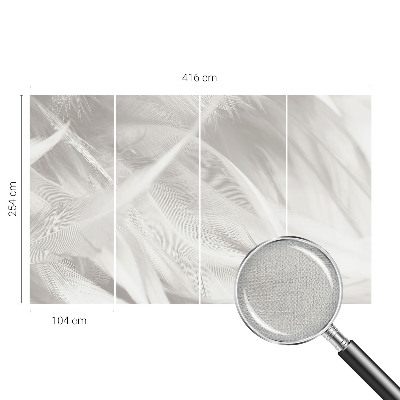 Fotomurale effetto 3D Piume delicate