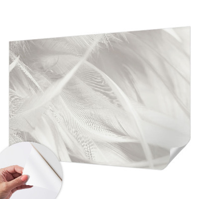 Fotomurale effetto 3D Piume delicate