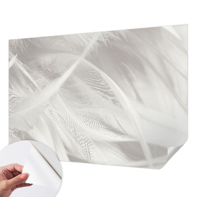 Fotomurale effetto 3D Piume delicate