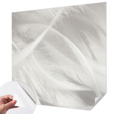 Fotomurale effetto 3D Piume delicate