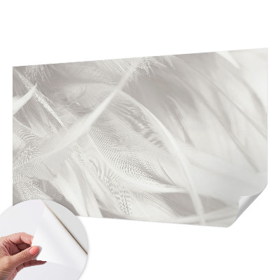 Fotomurale effetto 3D Piume delicate