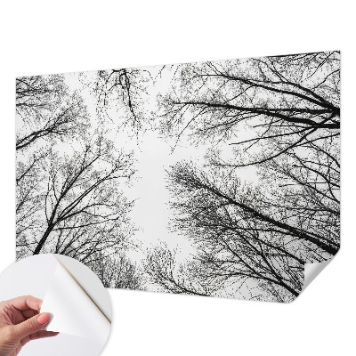 Fotomurale per bambini Rami spogli