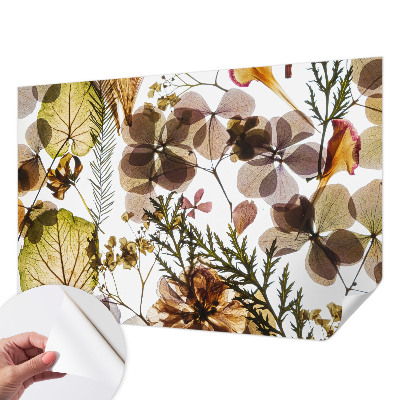 Fotomurale effetto 3D Composizione naturale