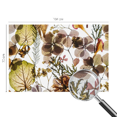 Fotomurale effetto 3D Composizione naturale