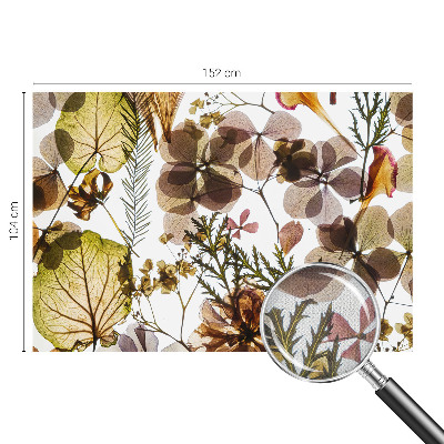 Fotomurale effetto 3D Composizione naturale