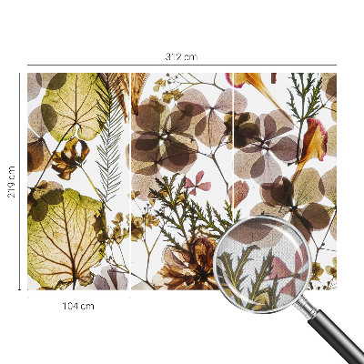 Fotomurale effetto 3D Composizione naturale