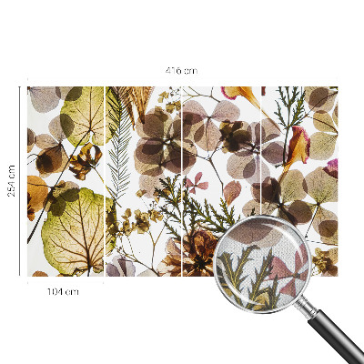 Fotomurale effetto 3D Composizione naturale