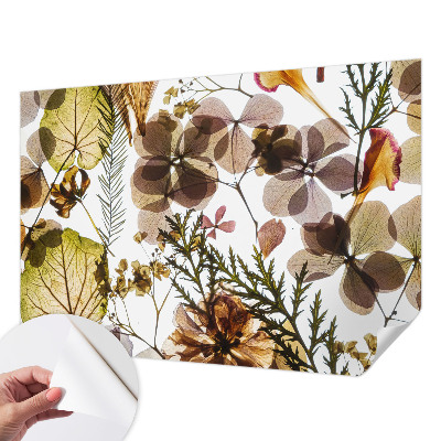 Fotomurale effetto 3D Composizione naturale