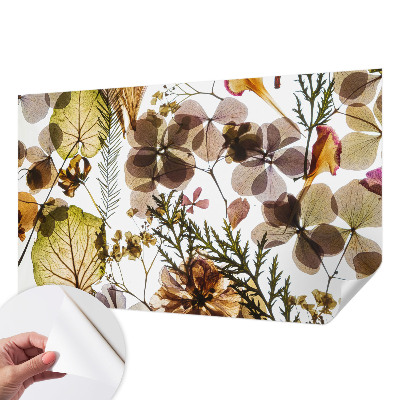 Fotomurale effetto 3D Composizione naturale