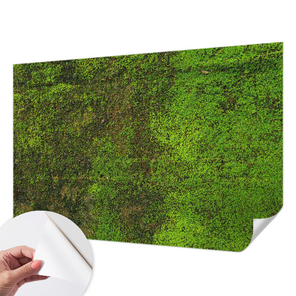 Fotomurale adesivo Tappeto verde
