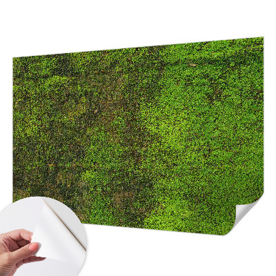 Fotomurale adesivo Tappeto verde