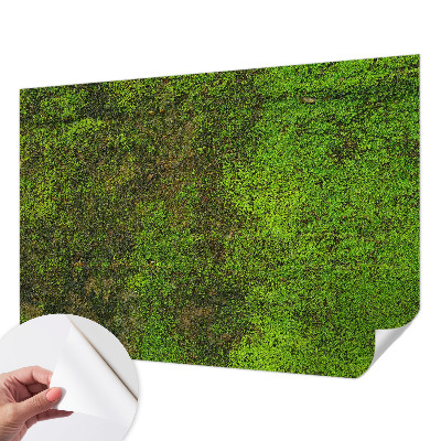 Fotomurale adesivo Tappeto verde
