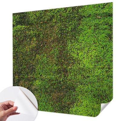Fotomurale adesivo Tappeto verde