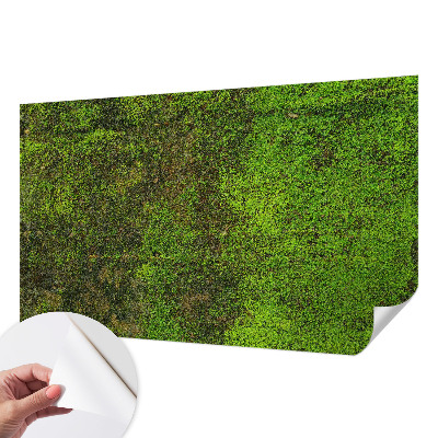 Fotomurale adesivo Tappeto verde