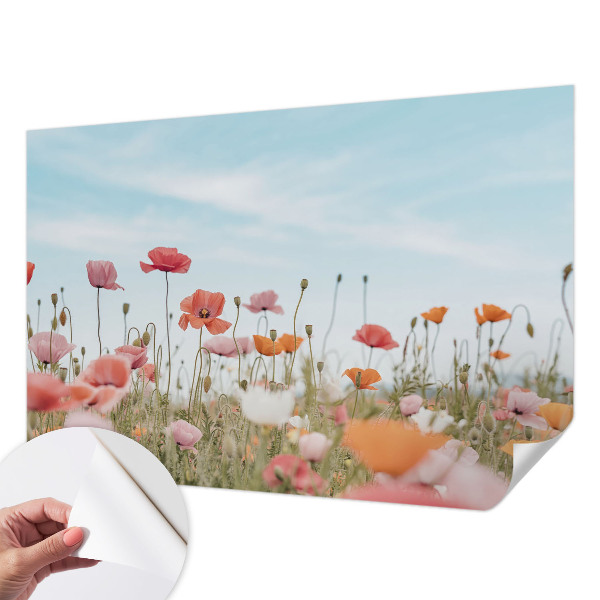 Carta da parati cameretta fiori di papavero