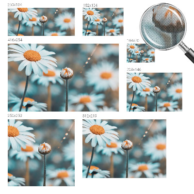 Fotomurale 3D Una delizia alla camomilla