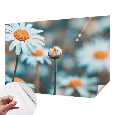 Fotomurale 3D Una delizia alla camomilla