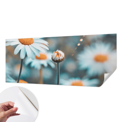 Fotomurale 3D Una delizia alla camomilla