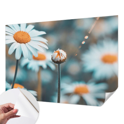 Fotomurale 3D Una delizia alla camomilla