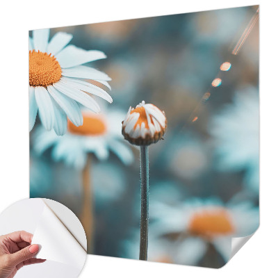 Fotomurale 3D Una delizia alla camomilla