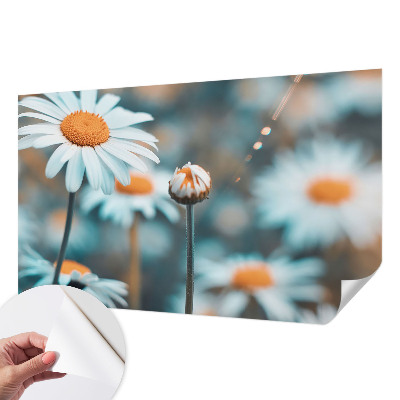 Fotomurale 3D Una delizia alla camomilla