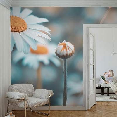 Fotomurale 3D Una delizia alla camomilla