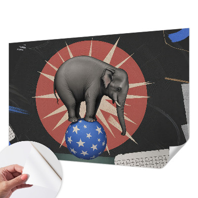Carta da parati cameretta elefante da circo