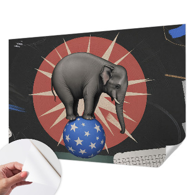 Carta da parati cameretta elefante da circo