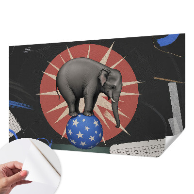 Carta da parati cameretta elefante da circo