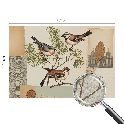 Fotomurale per bambini collage di uccelli