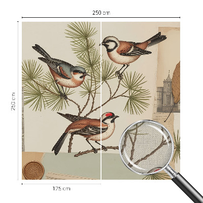 Fotomurale per bambini collage di uccelli