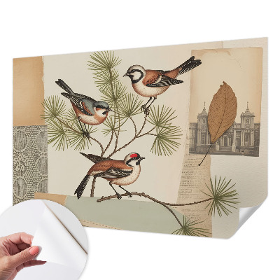 Fotomurale per bambini collage di uccelli